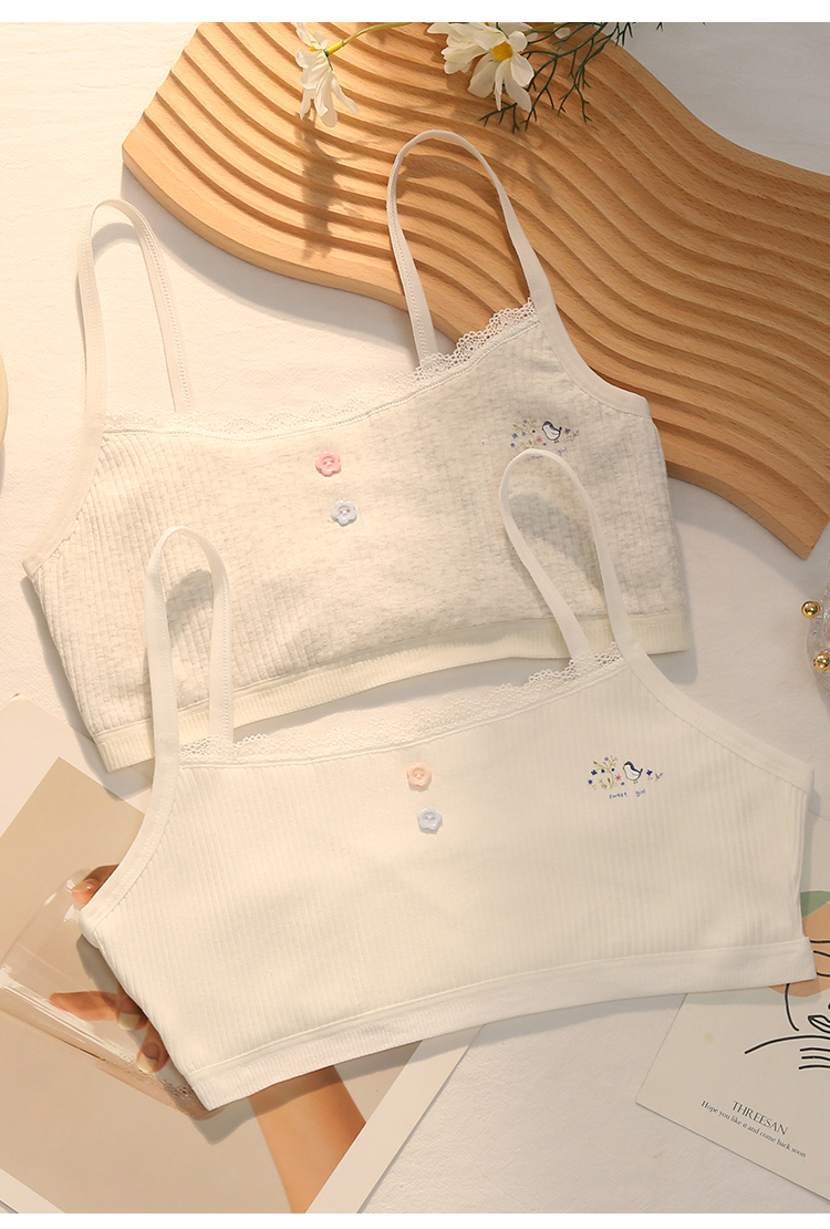 女孩内衣16岁少女发育期15初中生小背心棉13中大童文胸抹胸大码2条