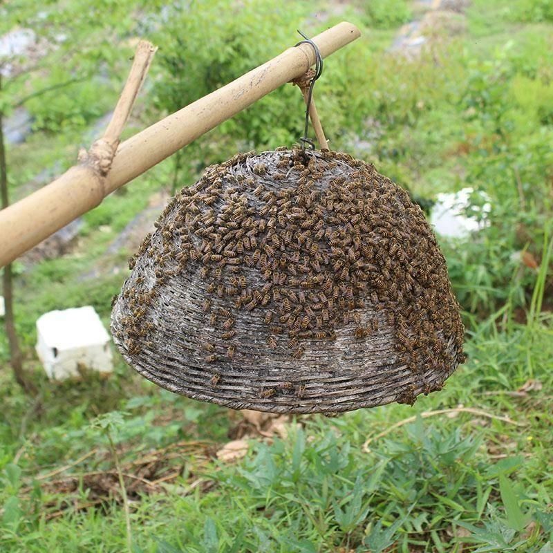祉鹿 竹制收蜂笼野蜂土蜂招蜂笼野外捕蜂器捉密蜂专用养蜂工具新品