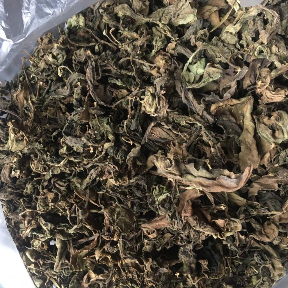 明月草干叶神仙草富贵菜白背三七金鸡毛草明月草茶一斤一斤500克不含