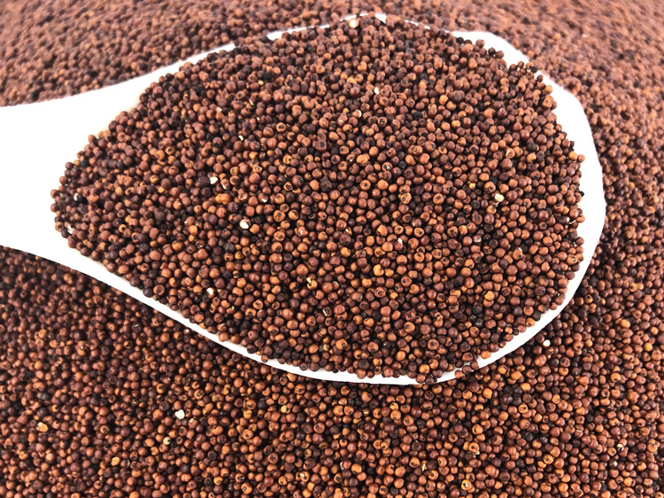 维霆广西粟米粒龙爪粟拳头粟小枕头鸭脚粟米粥鸭脚栗米红色粟米粉