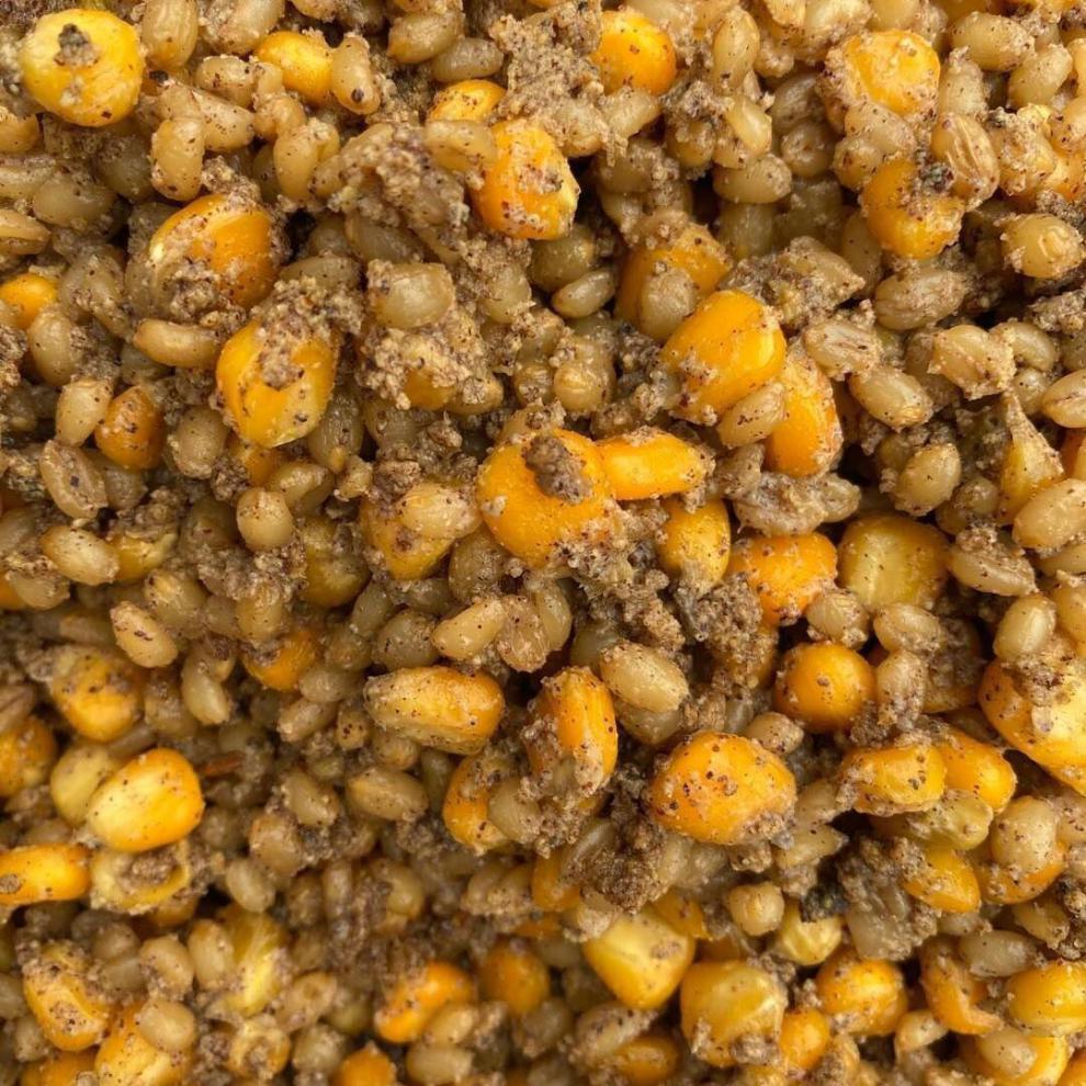 发酵酒糟打窝料黑坑野钓鲫鱼鲤鱼玉米小麦钓鱼饵窝料酒糟谷麦发酵窝料