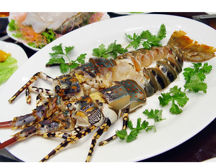 中华锦绣大龙虾鲜活澳洲花龙新鲜水产冰鲜海虾1.4斤-2.