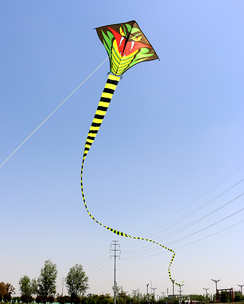 风筝潍坊恒江大蛇青蛇成人巨型长尾老人9米15米蛇风筝线轮放飞 9米青