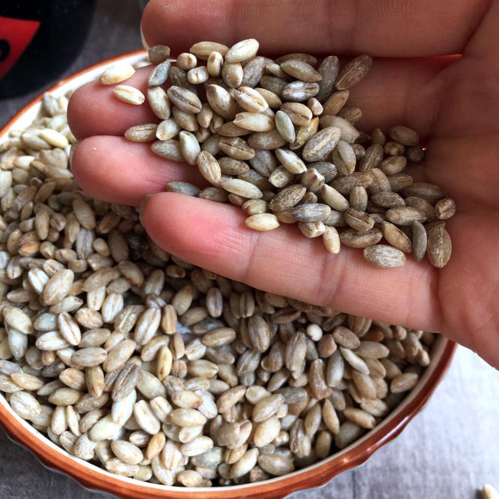 青稞米1斤5斤青藏高原蓝青稞米青海特产五谷杂粮新鲜粗粮蓝青稞 青稞