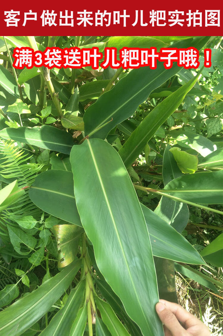 四川宜宾特产江安红桥磕粉猪儿粑粉叶儿粑粉汤圆粉传统水磨宜宾本地