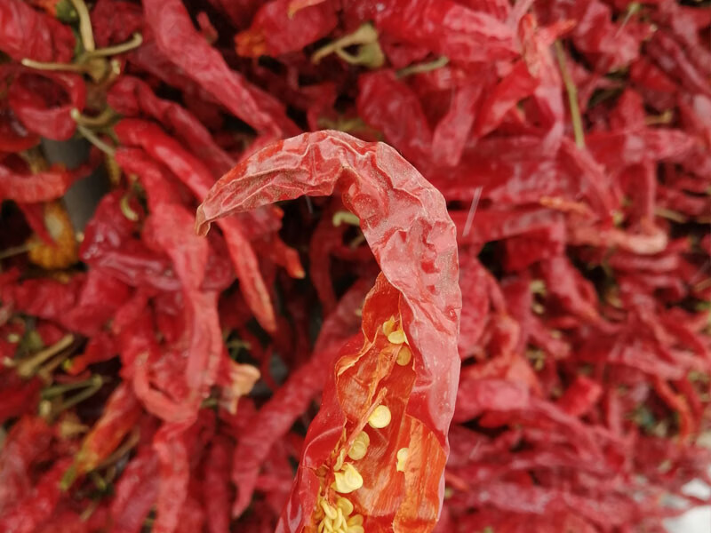 东北干辣椒250g东北干辣椒成串薄皮干红辣椒农家晒干大红辣椒