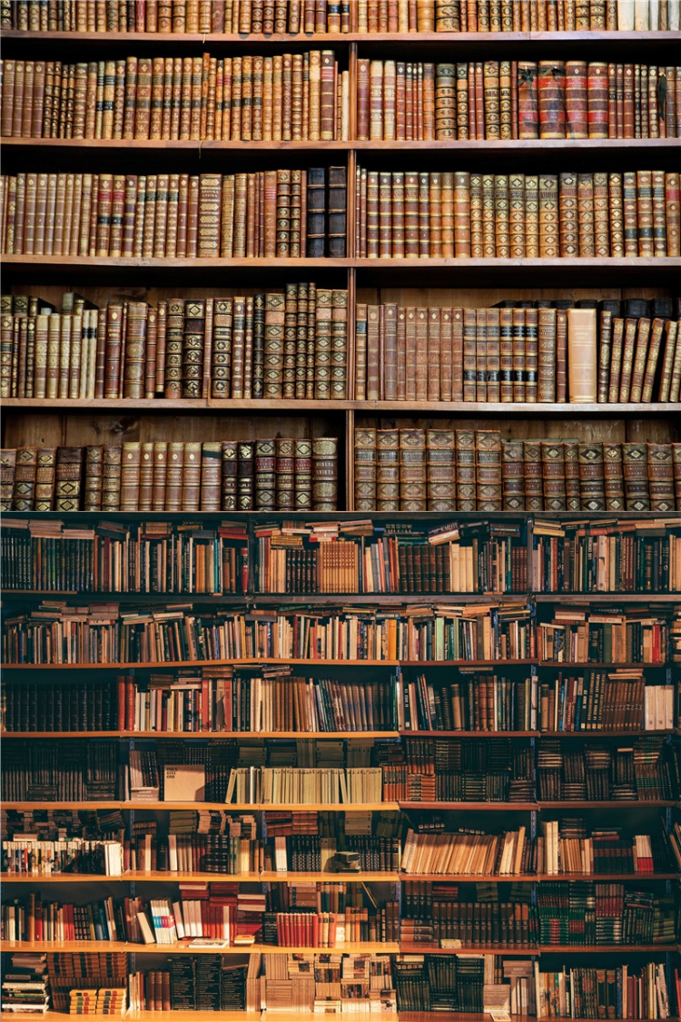 书架背景布3d立体书柜直播背景墙讲师主播录视频背景布书架书房拍摄