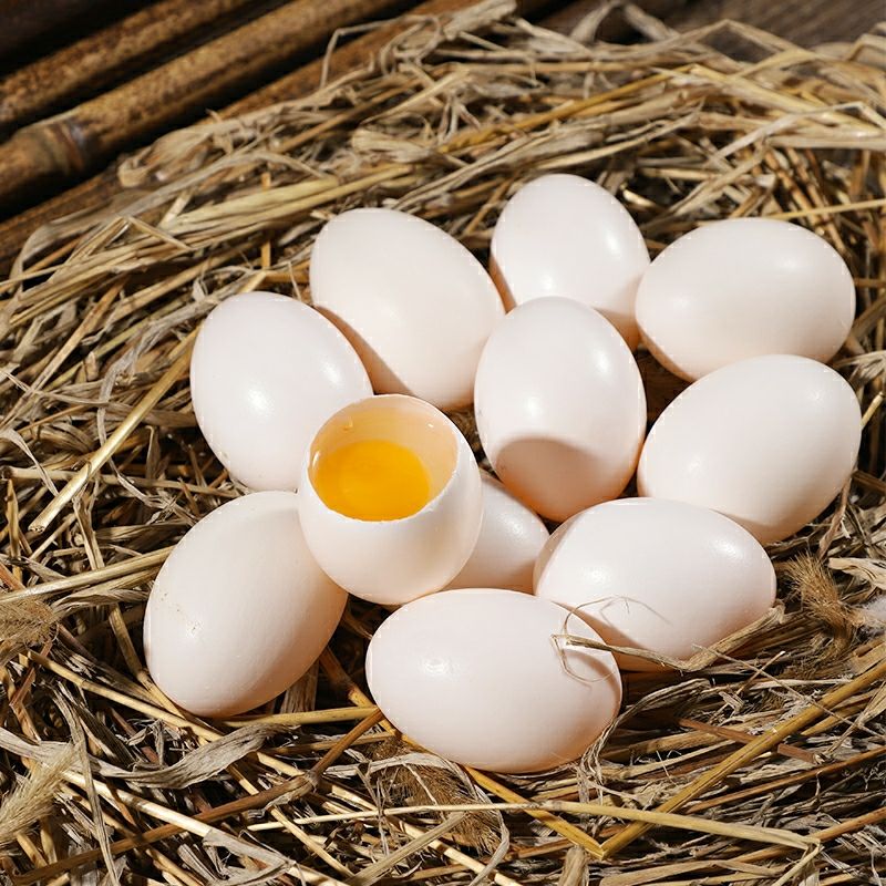 农家新鲜鸽子蛋10枚30枚初生蛋宝宝辅食五谷杂粮散养喂养鸽蛋青封铭20