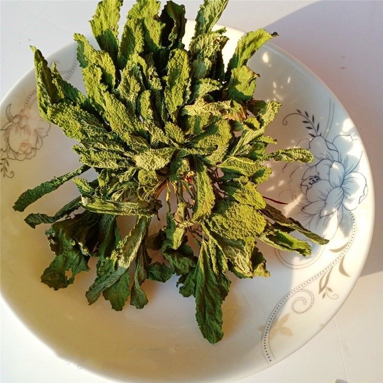 康中尊蛤蟆草荔枝草蛤蟆菜晒干蛤蟆草新鲜蛤蟆草整颗雪见草癞蛤蟆草新