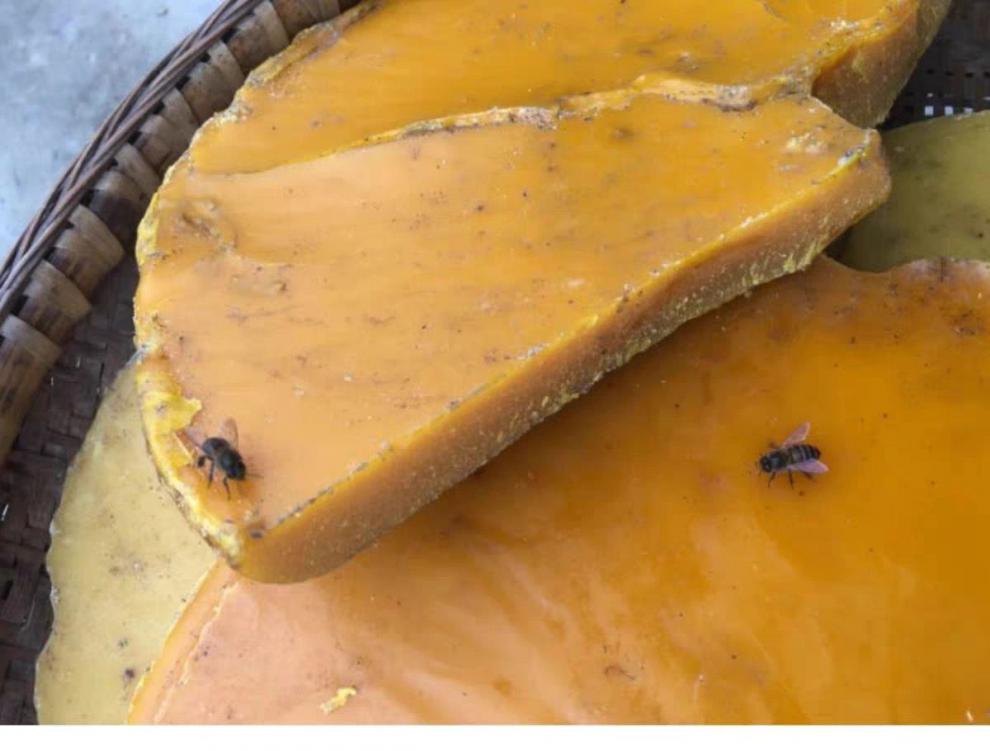 诱蜂蜡诱蜂找蜂中蜂老脾蜡引蜂招蜜蜂蜡野外封盖蜡纯中蜂蜡纯中蜂蜂蜡