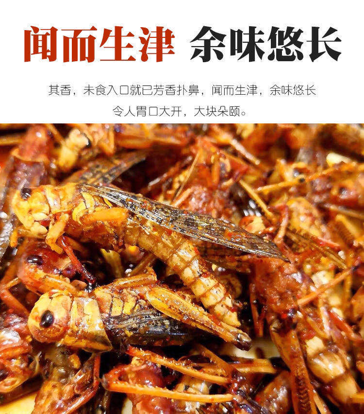 新鲜油炸蚂蚱即食香辣蝗虫昆虫蚱蜢虫子美食山东特产零食小吃 【买二