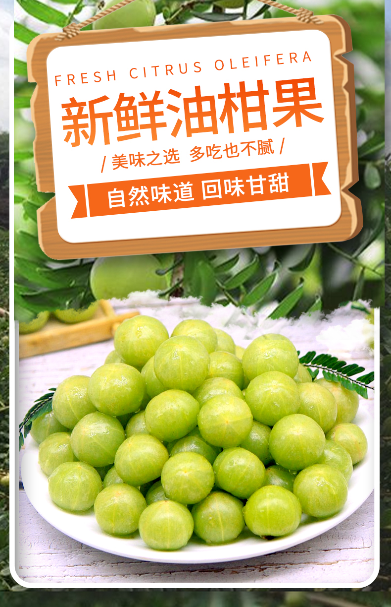 轻恋 崩坎甜油甘果【现摘现发】油柑子油甘子时令新鲜水果 甜种余甘果