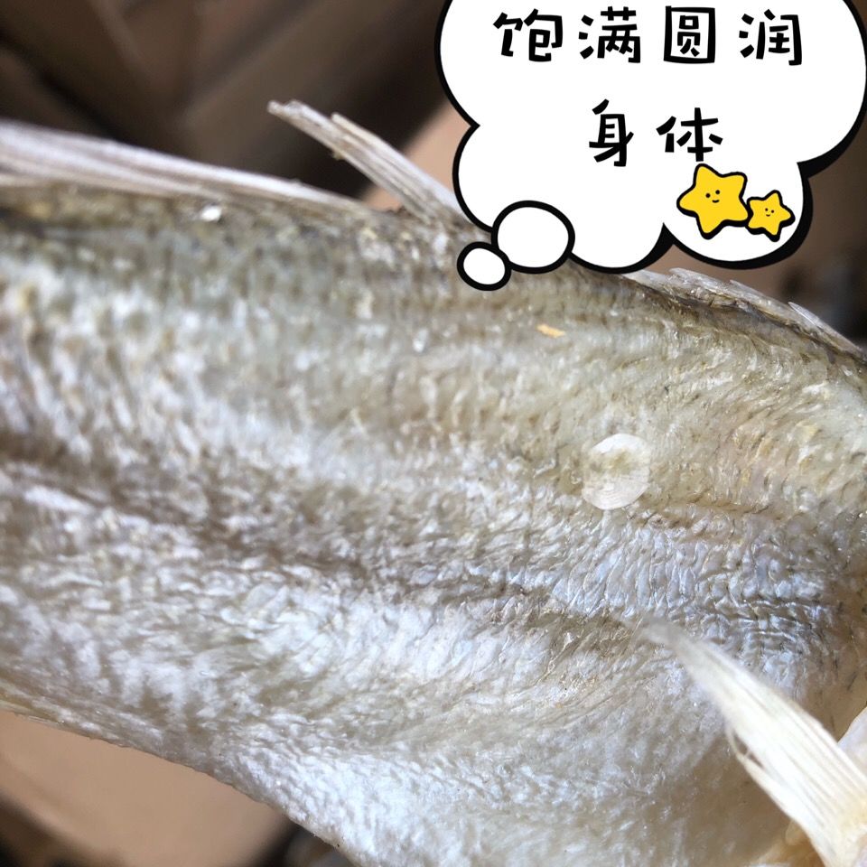海鲈鱼干 广东特产渔家自晒鲈鱼干海鲈鱼干腌制海鲜干货黄花鱼咸鱼干