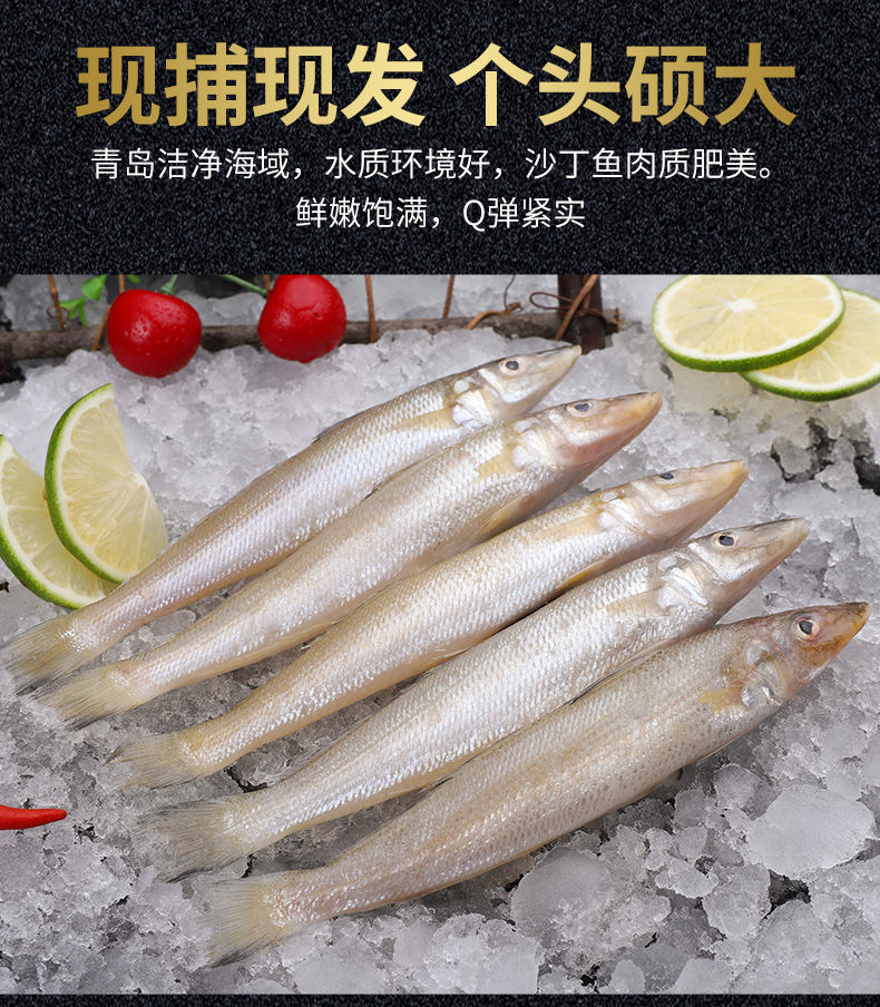 小沙丁冷冻沙尖鱼沙钻鱼沙梭鱼无冰衣花约朵娜特大610条斤2斤净重无冰