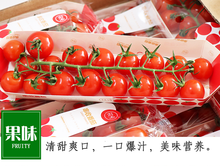 顺丰速运 枝纯串收小番茄198g/盒 当季现货小圣女果孕妇水果 198g*12