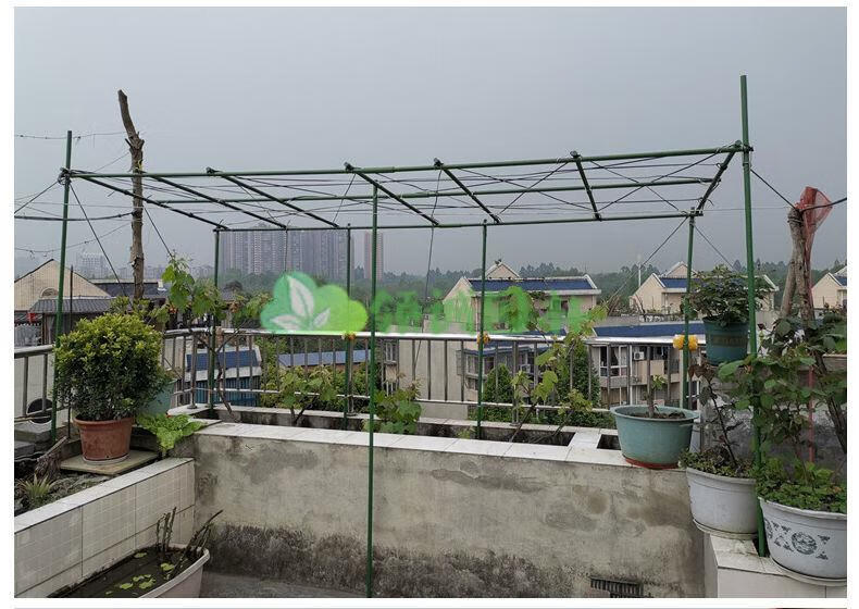 葡萄架丝瓜架豆角黄瓜百香果架爬藤架户外架子搭棚架葫芦架花园架立始