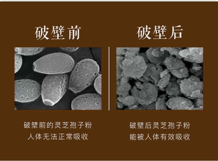 19bf9261213593f0.jpg