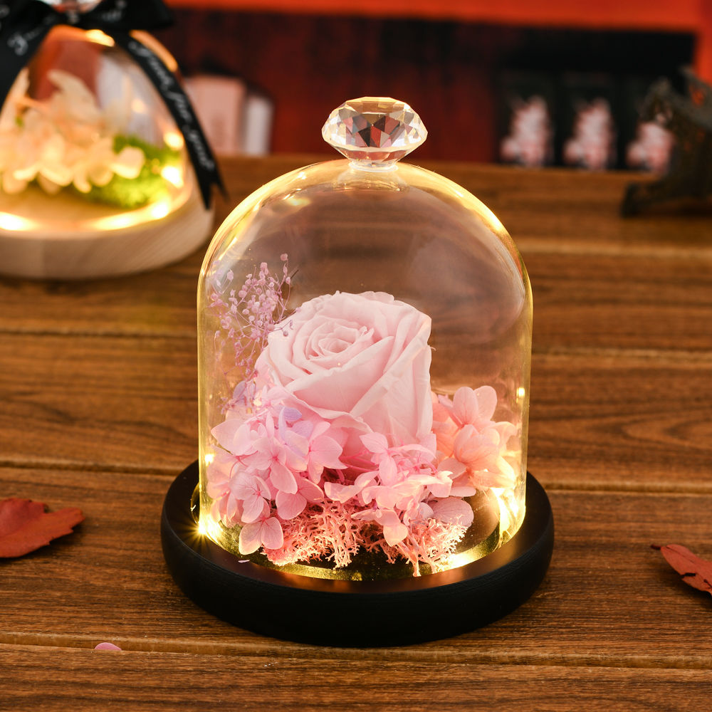 芊阙永生花玻璃罩防尘罩装饰桌面摆件干花透明微景观玻璃罩子原木平底