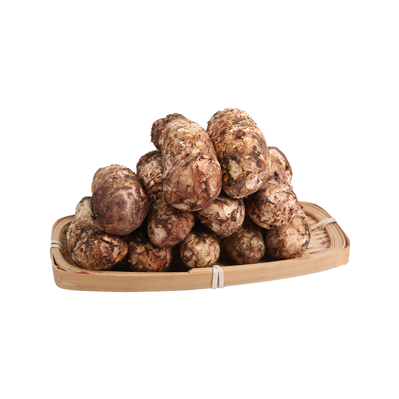 现货新鲜松茸菌500g云南香格里拉特产香磨菇3-5cm养生菌汤包