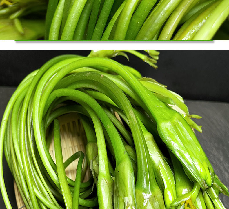 云南新鲜蔬菜海菜花4斤大理海白菜云南野菜大理特产普洱海菜水性杨花1