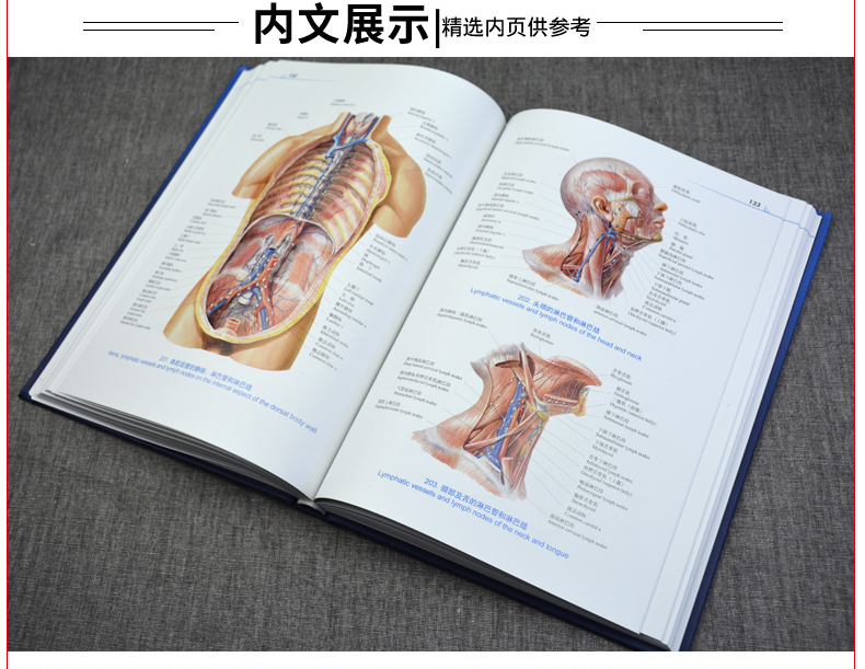 《人卫 人体解剖彩色图谱 第二版第2版全彩精装郭光文人体解剖学图谱