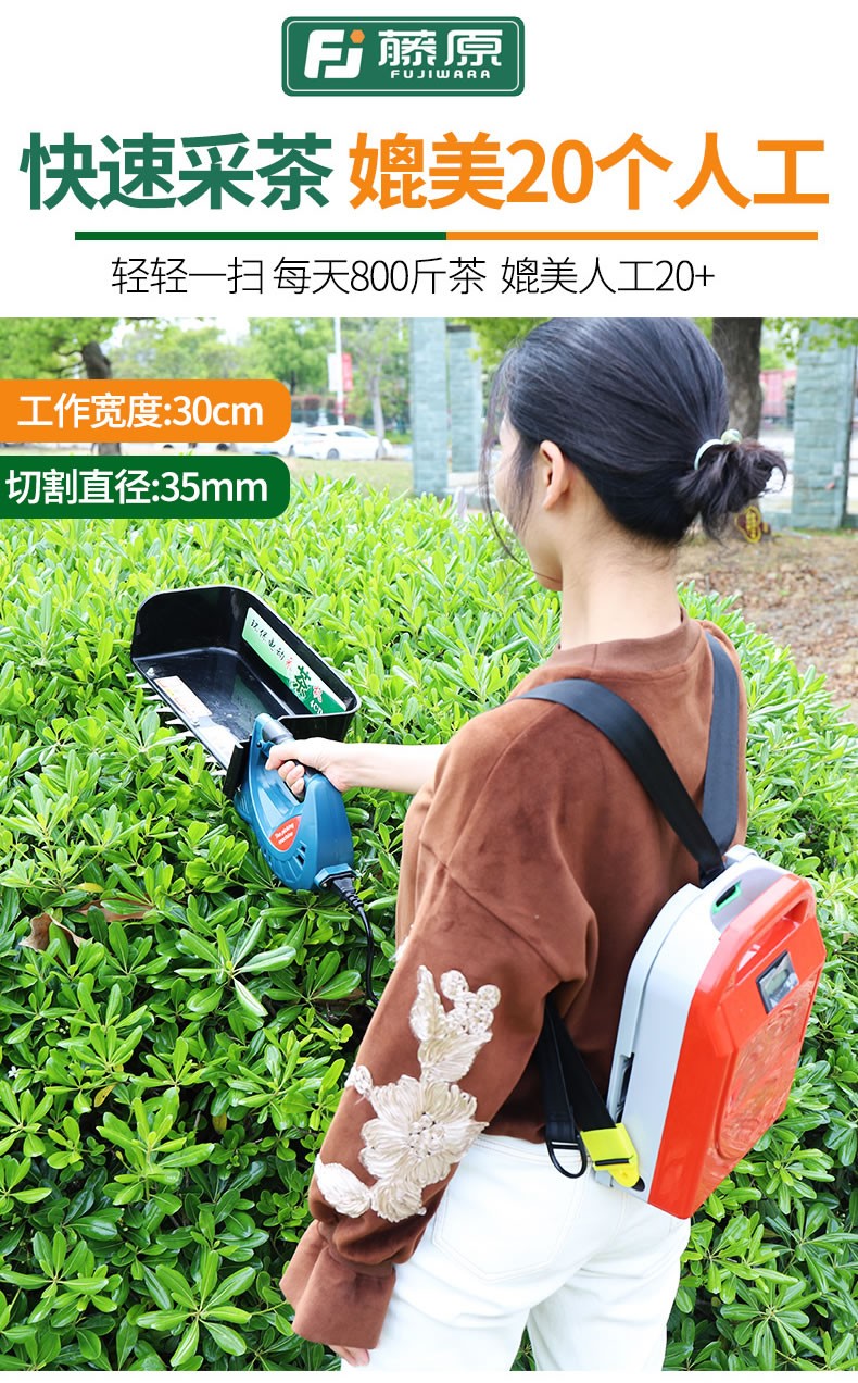 藤原电动采茶机便携式茶叶采摘工具单人充电式茶树茶叶采摘机 无刷