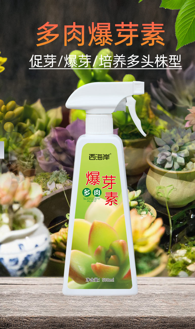 梦动优芽素多肉爆芽素专用营养液肥料专用肥上色蝴蝶兰发芽侧芽矮胖素