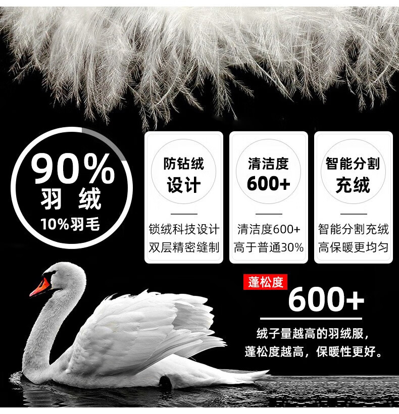 88d8c2cd80d00e70.jpg