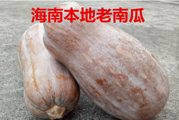 海南老南瓜蜜本南瓜板栗宝宝农家自种新鲜蔬菜粗粮5斤45斤