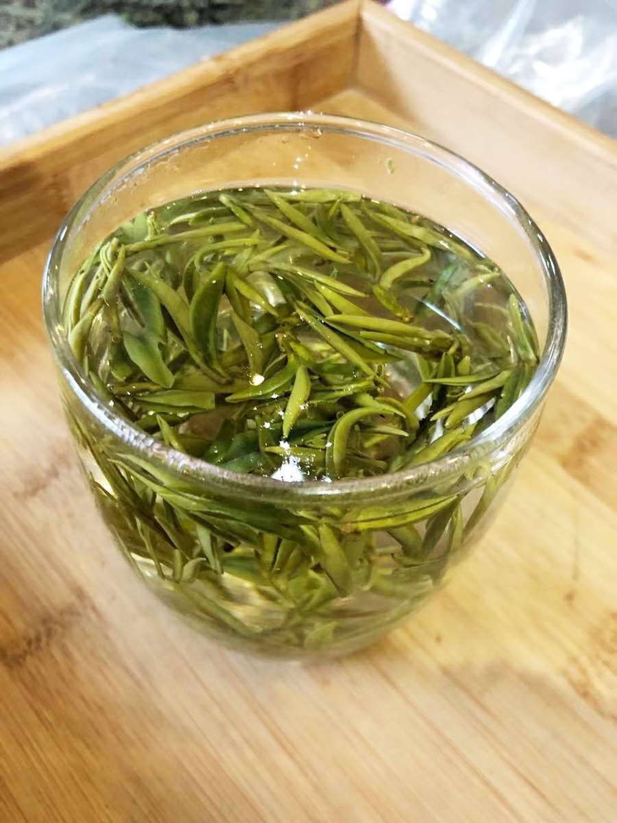 2021新茶长兴紫笋茶明前茶 顾渚泰苍坞老茶树50g罐装 礼盒装特产