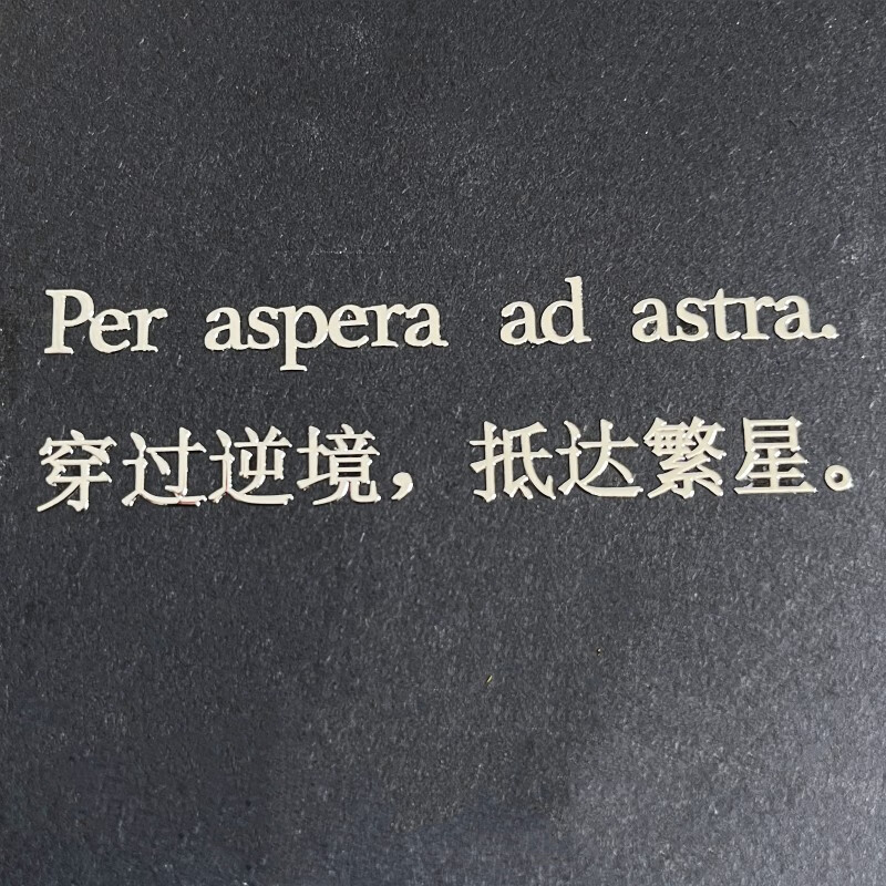 65dc077492fa9448.jpg