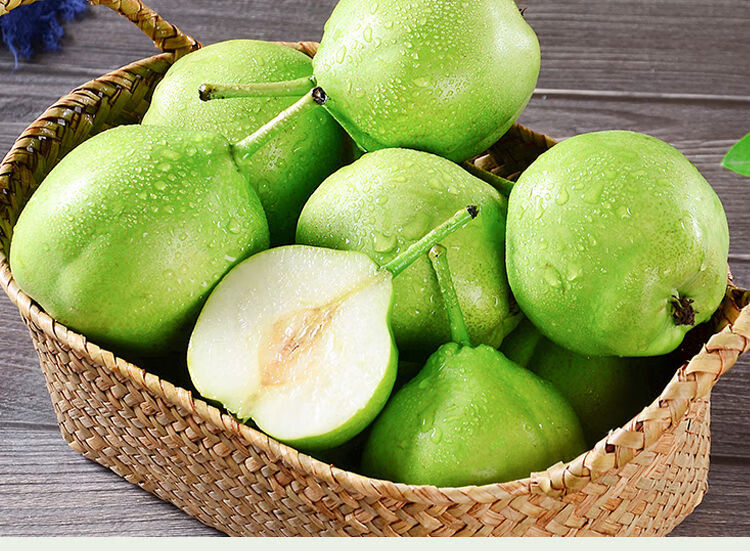 现摘陕西蒲城脆甜青皮早酥梨子绿皮梨子3510斤应季水果老树5斤大果王