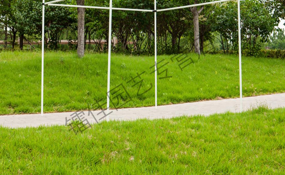 简易植物爬藤架庭院户外铁艺月季铁线莲花架 白色葡萄架(2m*3m*2m) 特