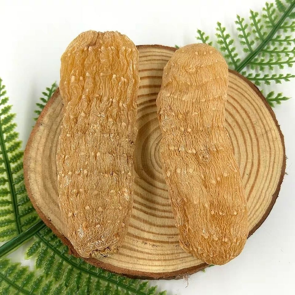 长白山野生天麻 深山正宗天麻 乌麻 东北天麻吉林特产 干天麻 特大号