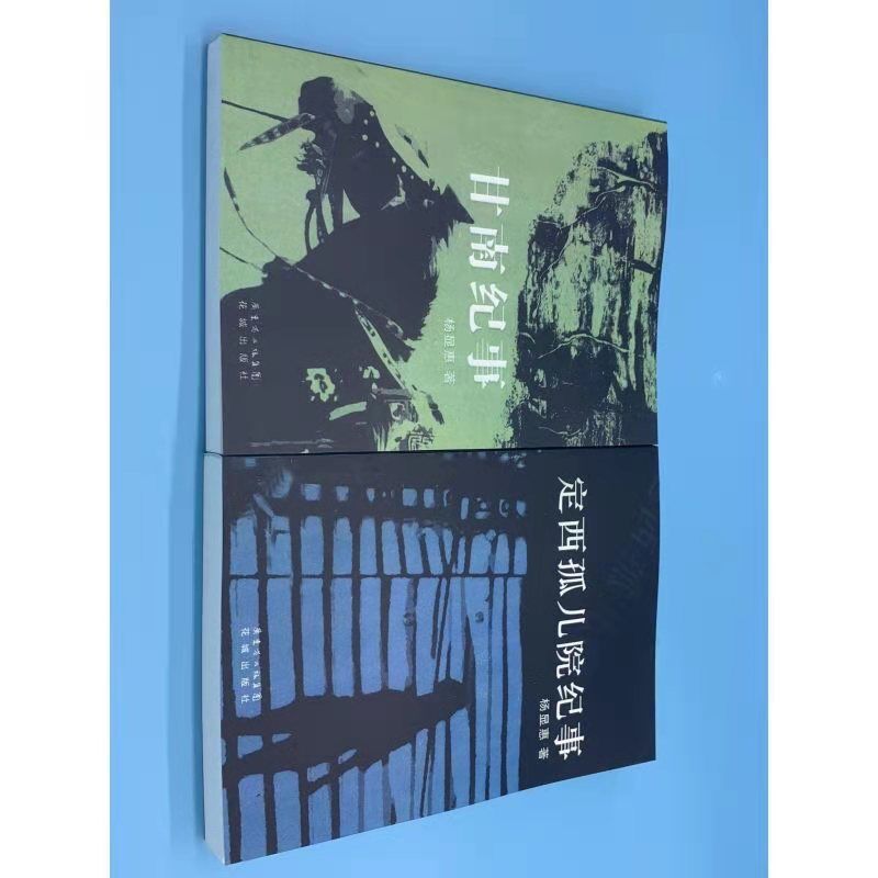 定西孤儿院纪事甘南作者杨显惠著定西孤儿院纪事甘南纪事作者