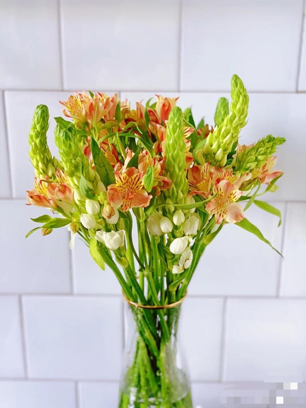 云南昆明圣心百合鲜花家庭办公室插花 旧故里 白色圣心百合(5支)