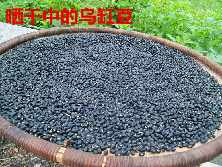广西马山土黑豆又叫黑饭豆黑眉豆可做种子老品种肾形五谷杂粮1斤