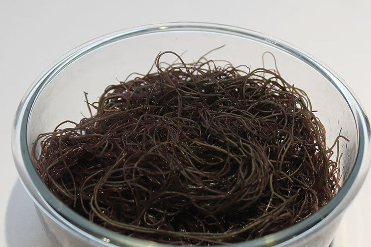 发菜干货食用海鲜海草海藻产品凉拌海发菜头发龙须500g海发菜500克