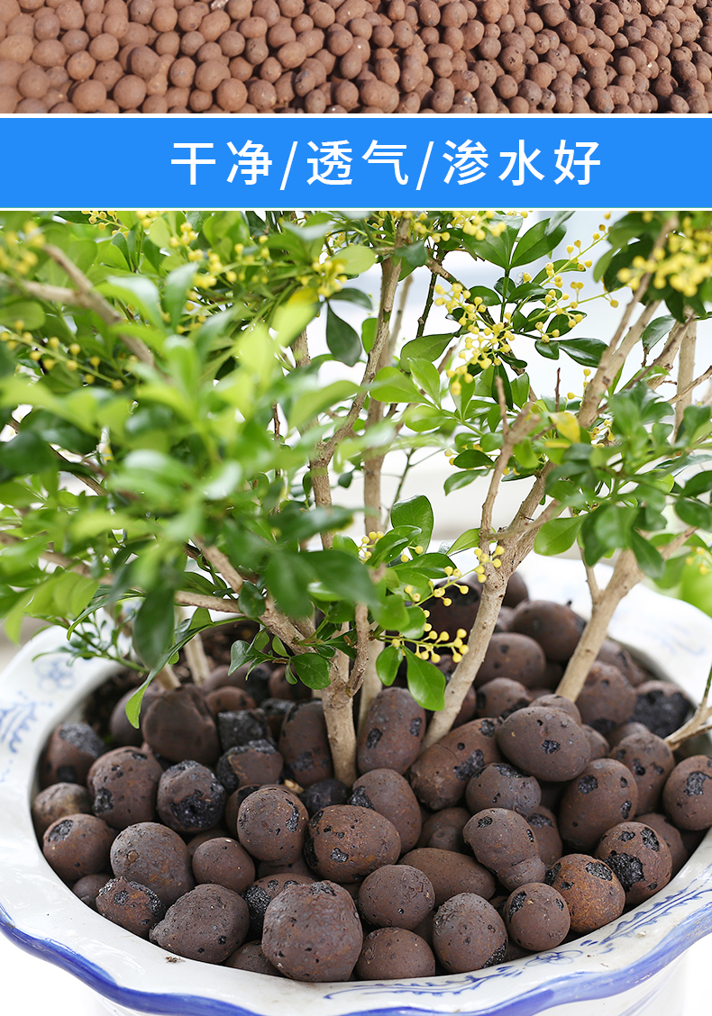 陶粒花用园艺陶土粒球养花多肉铺面盆栽垫底陶粒滤料透气 陶粒【1立方