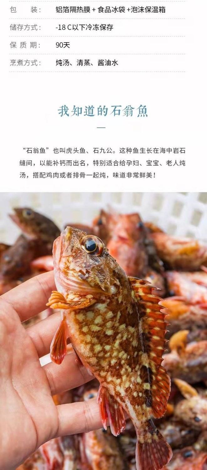 石九公鱼石翁鱼鲜活虎头鱼小红斑鱼石斑鱼鲜海鲜买3