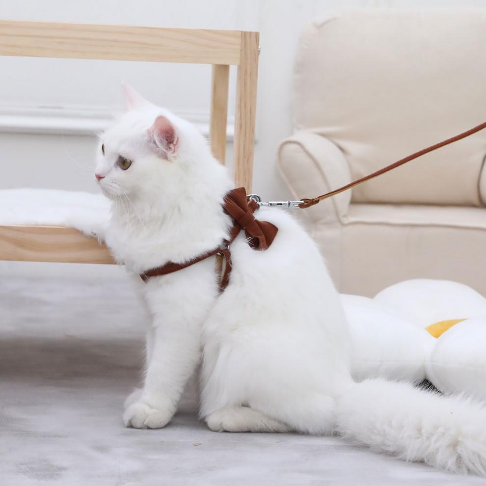 【冬季上市】牵猫绳 宠物猫咪牵引绳小型犬遛猫防挣脱外出专用狗狗胸