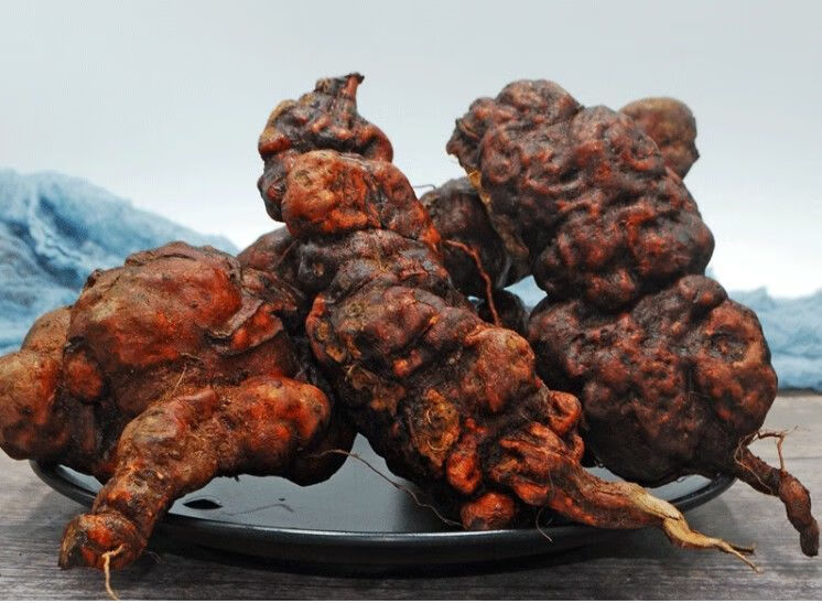 何首乌新鲜何首乌何首乌苗鲜首乌赤首乌生首乌500克 新鲜何首乌3斤