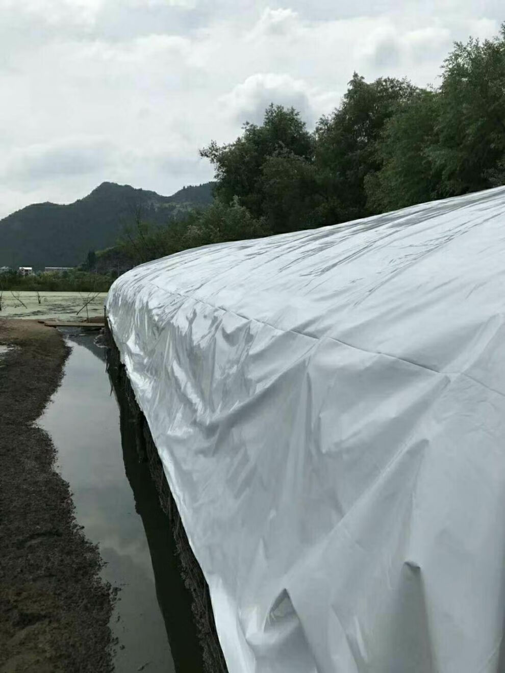 大棚膜养殖加厚黑白膜利得膜防晒隔热保温无滴膜大棚塑料布薄膜18s