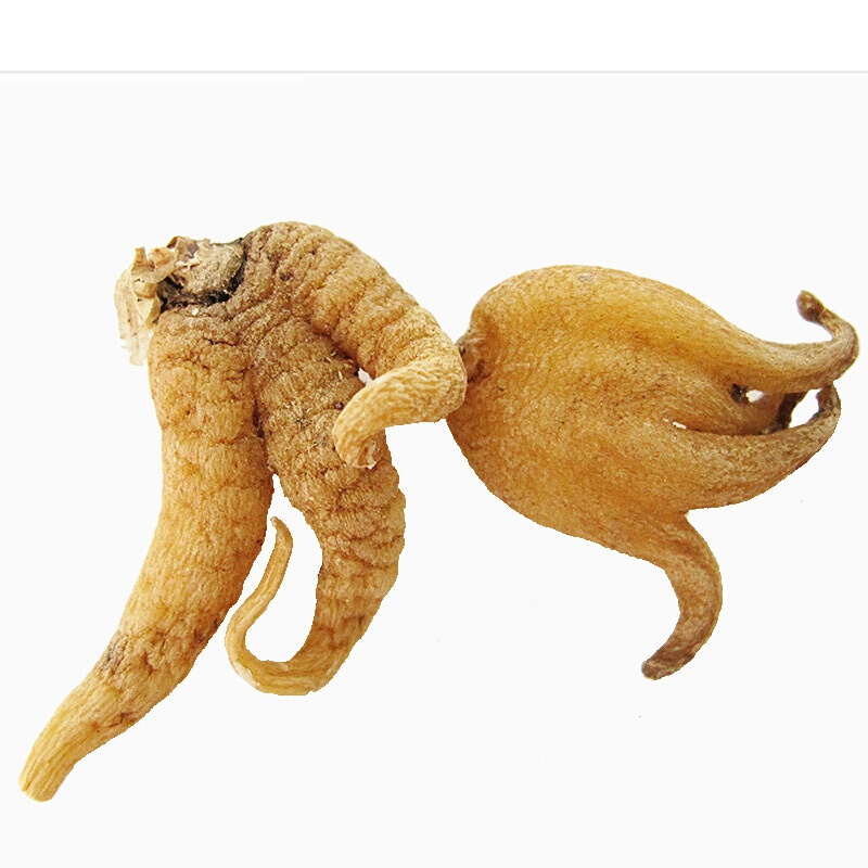 伟博 西藏手掌参250g高原野生旺拉佛手参掌参手儿参阴阳草鲁朗石锅鸡