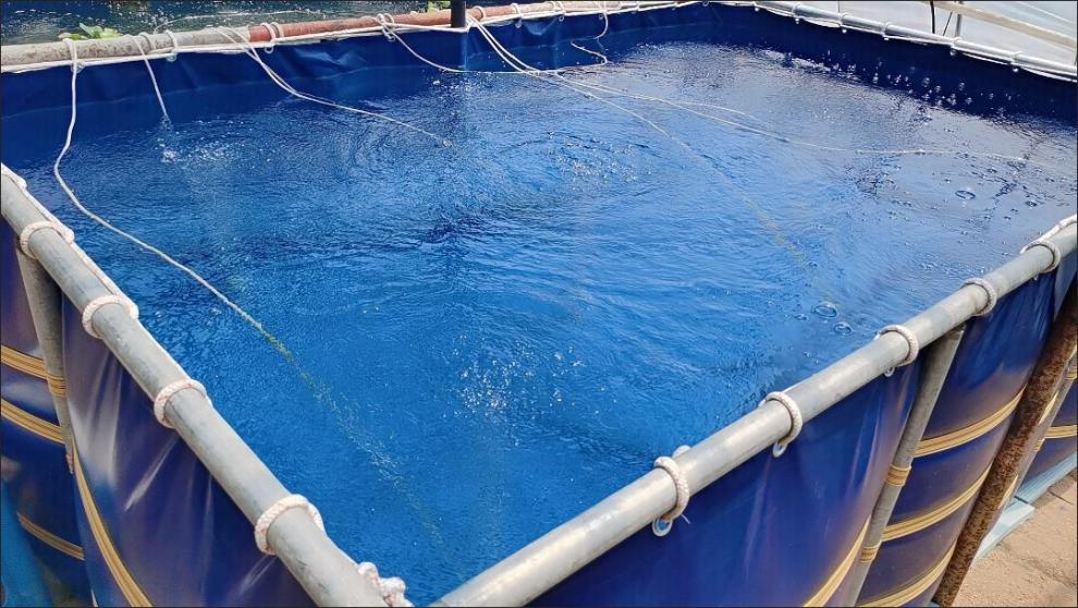 帆布鱼池养殖水箱油布塑料布泳池大型防雨布防水布蓄水池加厚篷布加厚