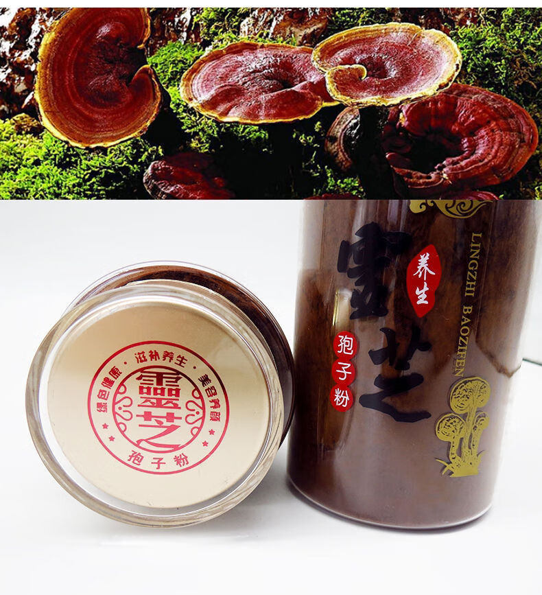 f5827ff48d4131b6.jpg