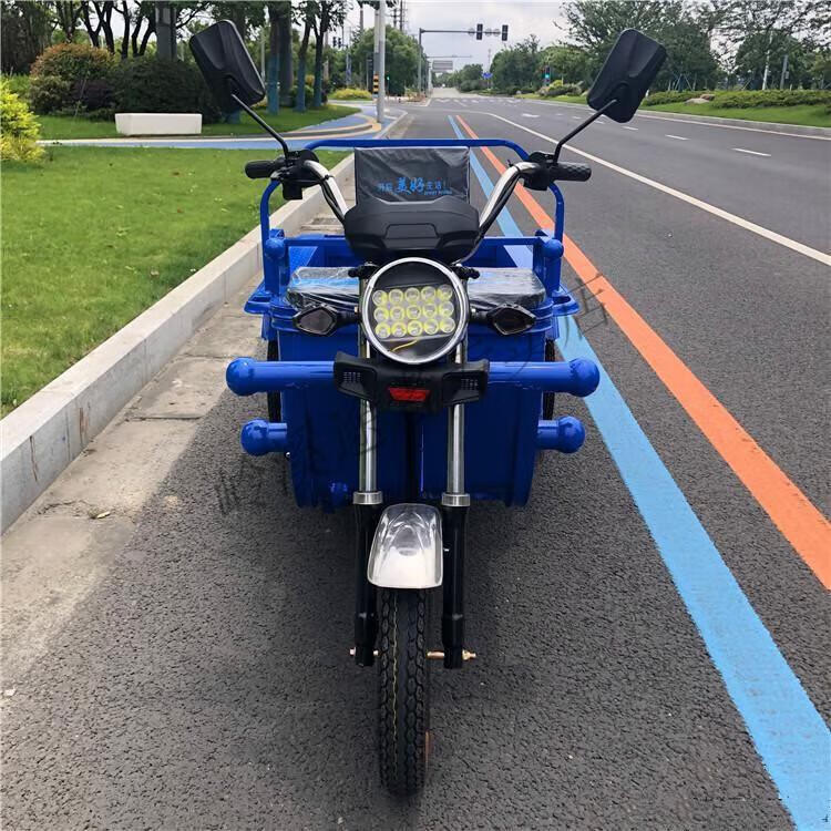 电动三轮车家用货运车摆摊平板电瓶载重山区版接送孩子 标配1.