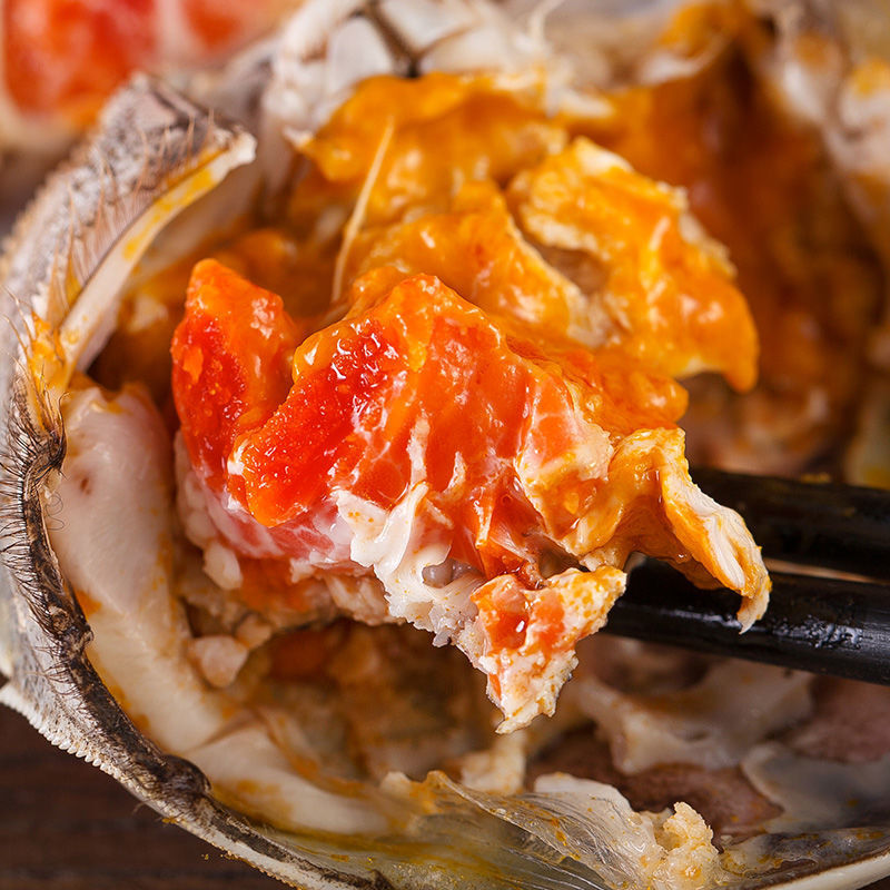 特大螃蟹现货六月黄海鲜全公母蟹河蟹礼盒全母2722两8只