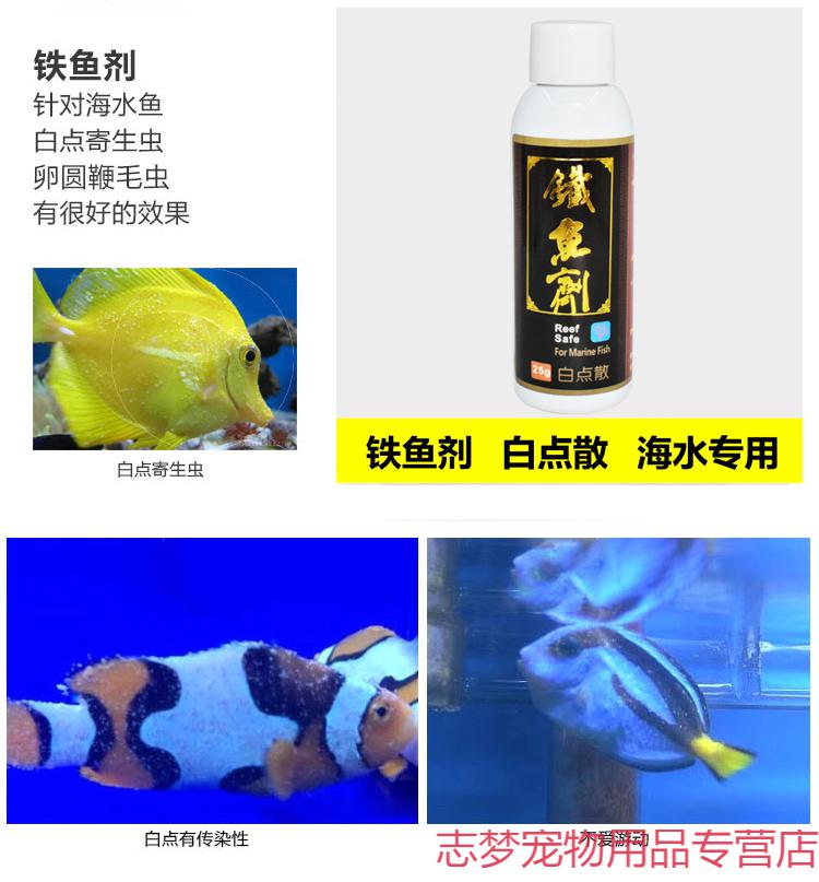 铁鱼剂海水高效免疫白点珊瑚缸可用白点病免疫25g海化