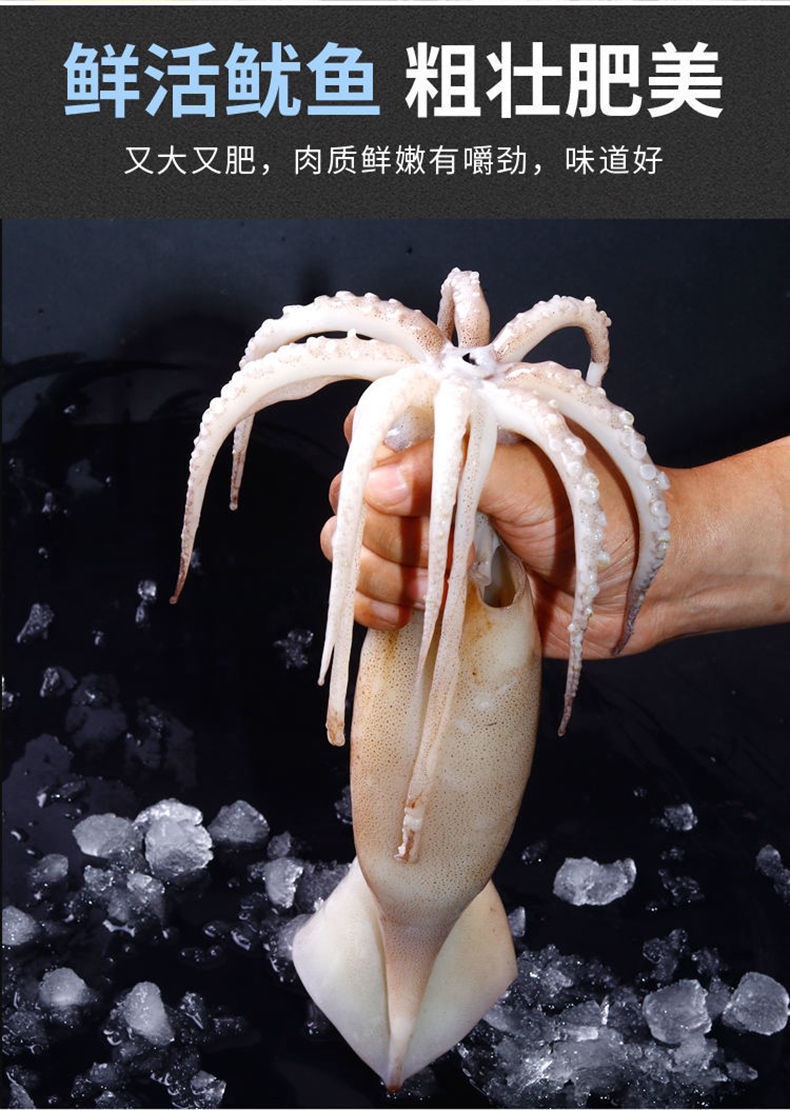 特大鱿鱼鲜活深海捕冷冻水产新鲜大鱿鱼尤鱼整条烧烤批发5斤优选大号